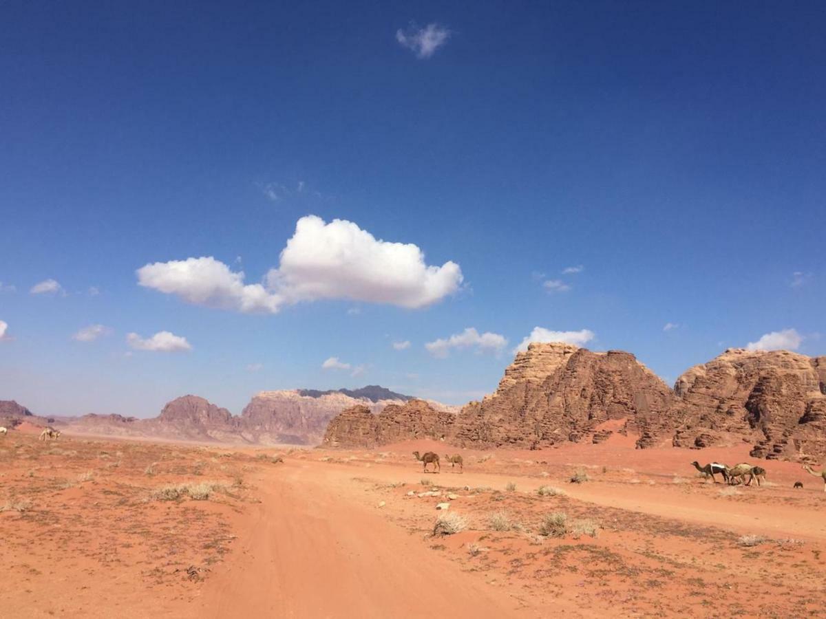 Wadi Rum Bright Moon Esterno foto
